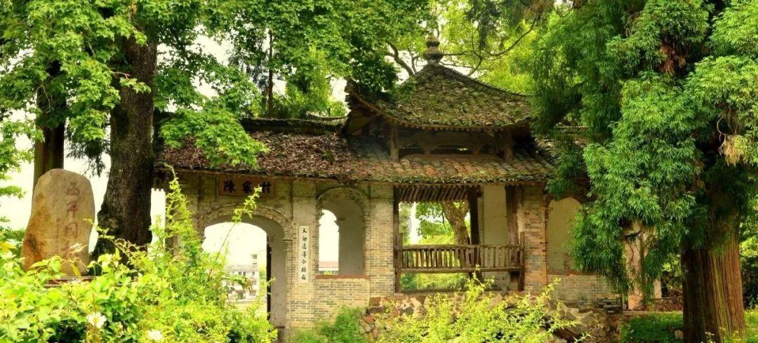 美丽海洋找不同
