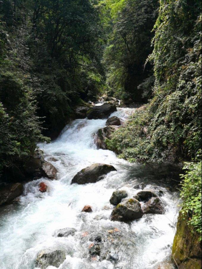 （新春走基层）退役飞机“落户”浙江乡村 农文旅融合富一方民众